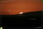 Sunrise 174