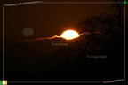 Sunrise 57